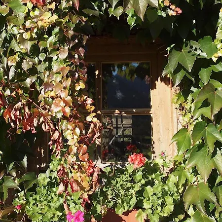 Alpenresidenz Chiemgau Daire *